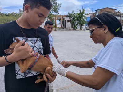 Prefeitura vacina mais de 21 mil cães e gatos em Campanha de Vacinação Antirrábica