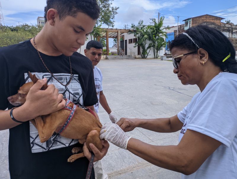 Prefeitura vacina mais de 21 mil cães e gatos na Campanha de Vacinação Antirrábica, no sábado (5)